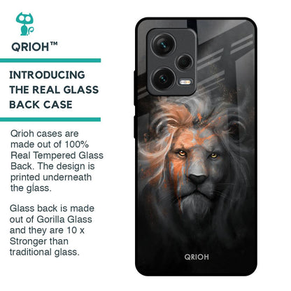 Devil Lion Glass Case for Redmi Note 12 Pro Plus 5G