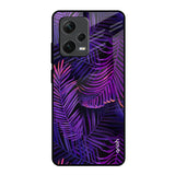 Plush Nature Redmi Note 12 Pro 5G Glass Back Cover Online
