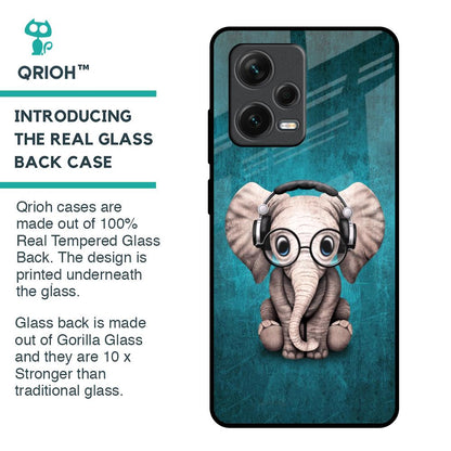 Adorable Baby Elephant Glass Case For Redmi Note 12 Pro 5G