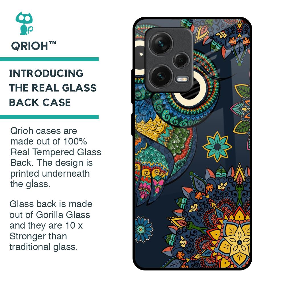 Owl Art Glass Case for Redmi Note 12 Pro 5G