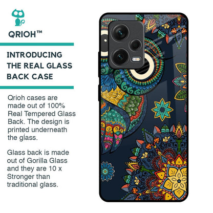 Owl Art Glass Case for Redmi Note 12 Pro 5G