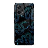 Serpentine Redmi Note 12 5G Glass Back Cover Online