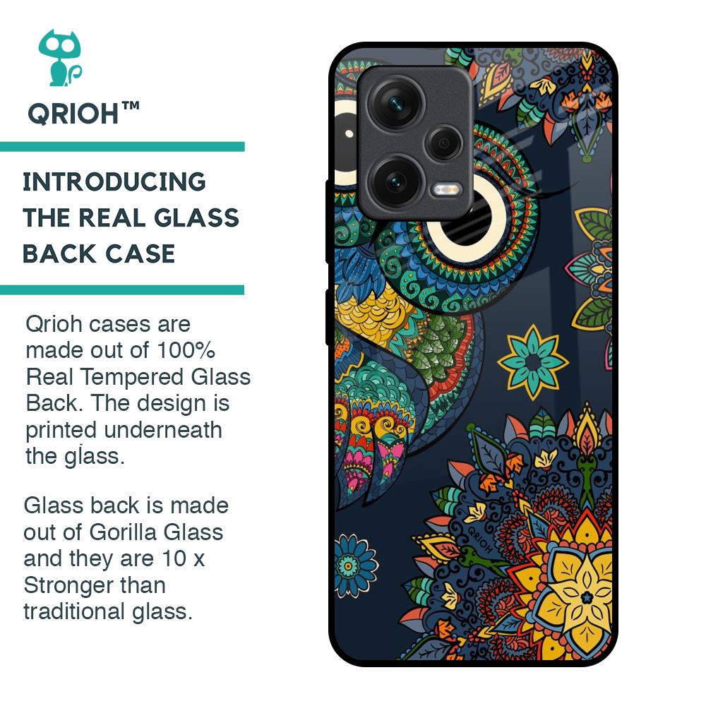 Owl Art Glass Case for Redmi Note 12 5G