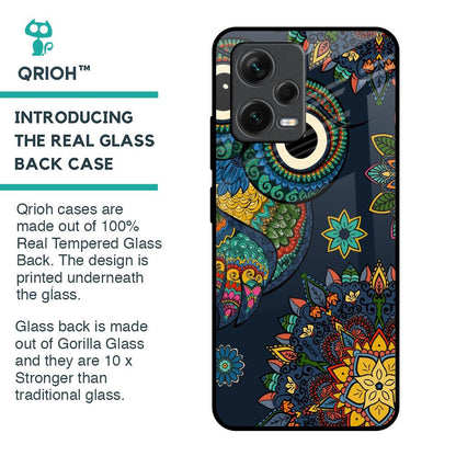 Owl Art Glass Case for Redmi Note 12 5G