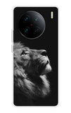 Lion Looking to Sky Vivo X90 Pro 5G Back Cover