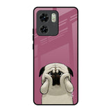Funny Pug Face Motorola Edge 40 Glass Back Cover Online
