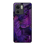 Plush Nature Motorola Edge 40 Glass Back Cover Online
