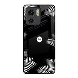 Zealand Fern Design Motorola Edge 40 Glass Back Cover Online