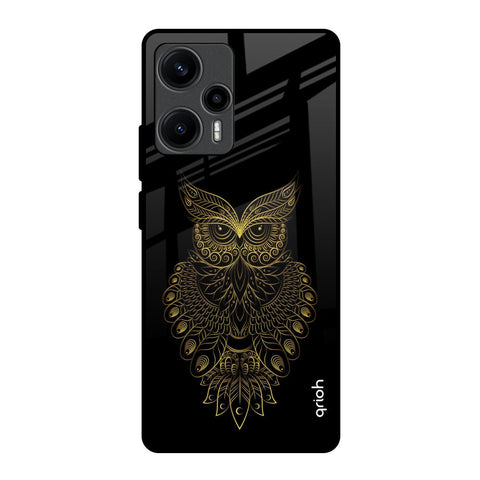Golden Owl Poco F5 5G Glass Back Cover Online