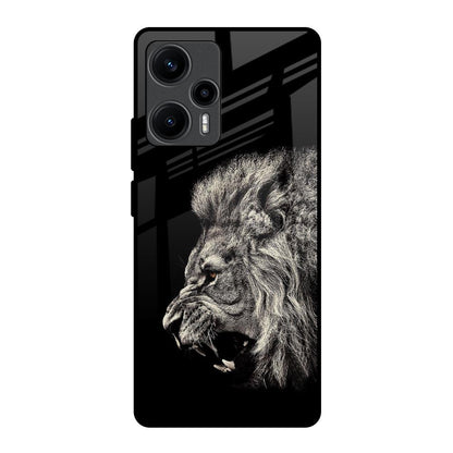 Brave Lion Poco F5 5G Glass Back Cover Online
