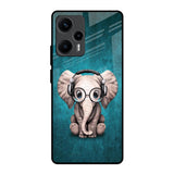 Adorable Baby Elephant Poco F5 5G Glass Back Cover Online
