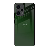 Deep Forest Poco F5 5G Glass Back Cover Online
