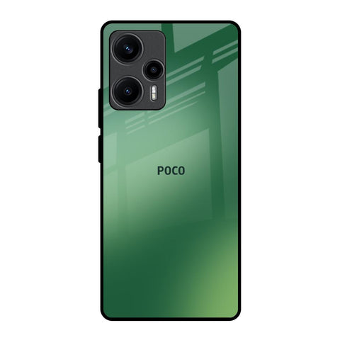 Green Grunge Texture Poco F5 5G Glass Back Cover Online