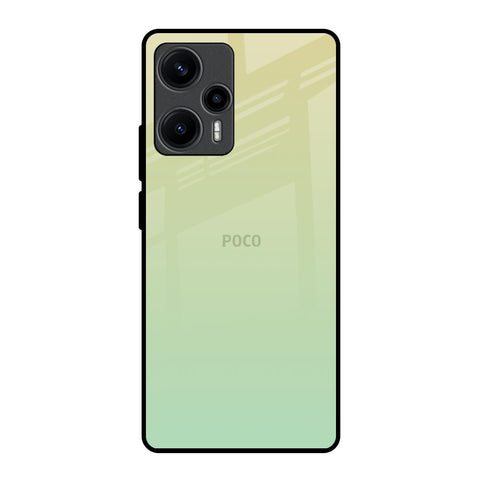 Mint Green Gradient Poco F5 5G Glass Back Cover Online