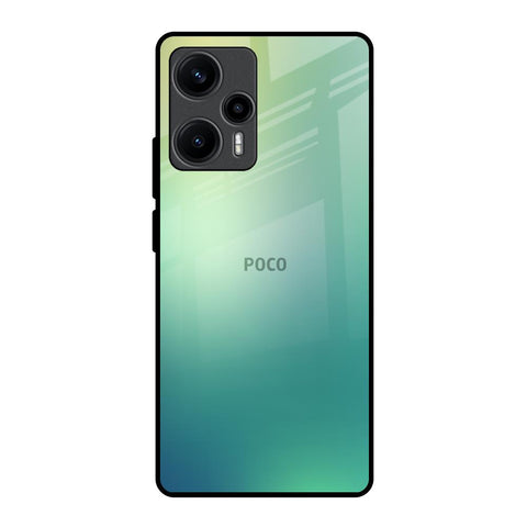 Dusty Green Poco F5 5G Glass Back Cover Online