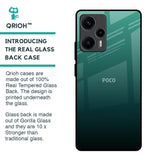 Palm Green Glass Case For Poco F5 5G