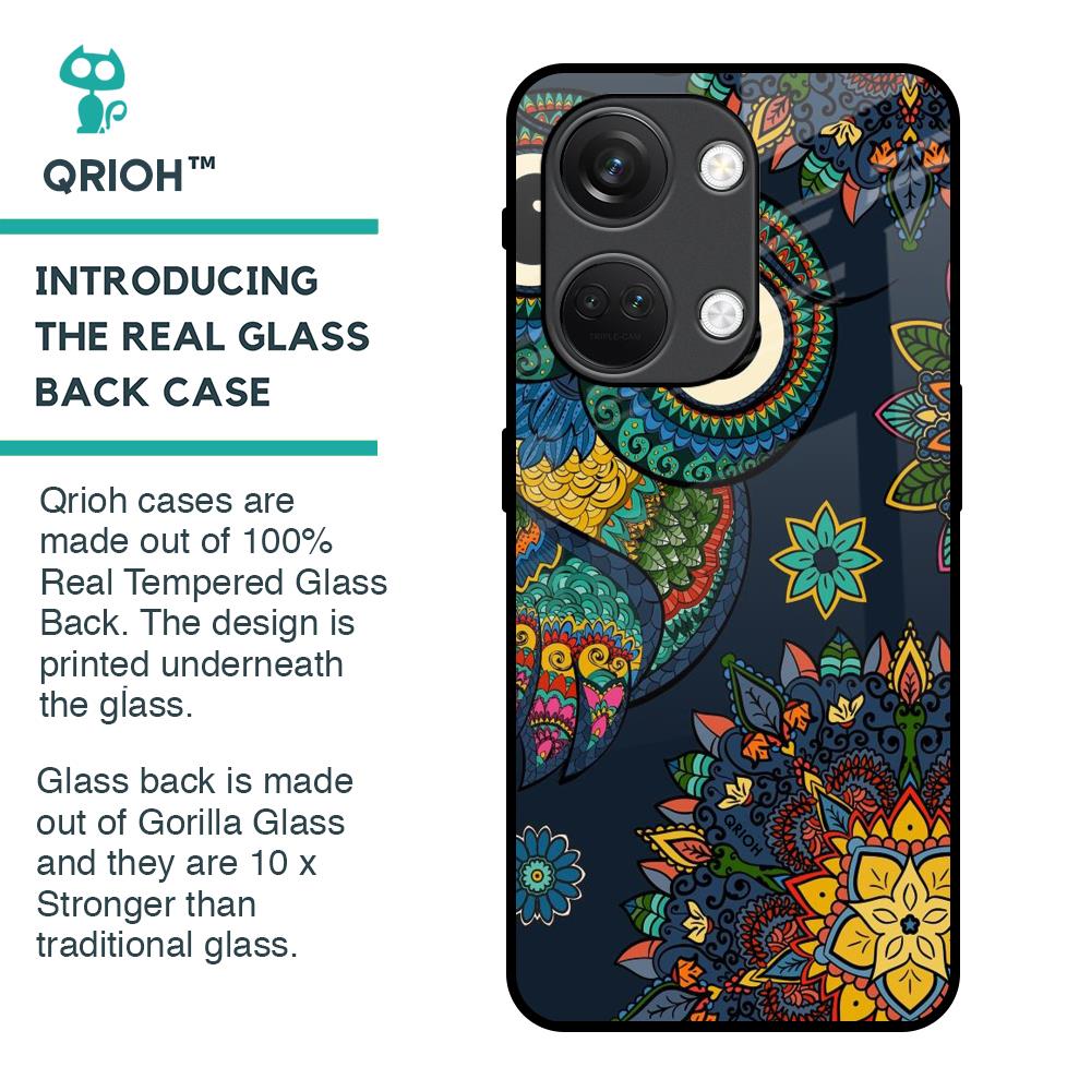 Owl Art Glass Case for OnePlus Nord 3 5G