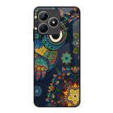 Owl Art Realme C53 Glass Back Cover Online