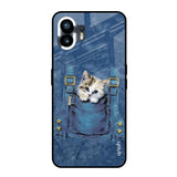 Kitty In Pocket Nothing Phone 2 Glass Back Cover Online