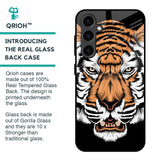 Angry Tiger Glass Case For Samsung Galaxy S23 FE 5G