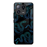 Serpentine Mi 13 Pro Glass Back Cover Online