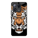 Angry Tiger Mi 13 Pro Glass Back Cover Online