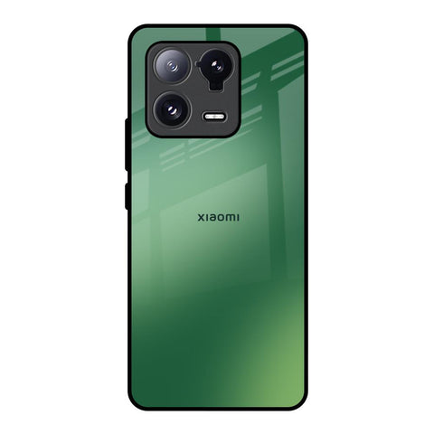 Green Grunge Texture Mi 13 Pro Glass Back Cover Online