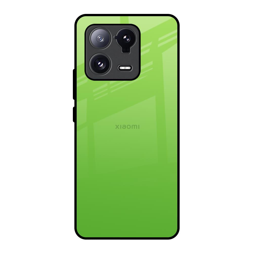 Paradise Green Mi 13 Pro Glass Back Cover Online