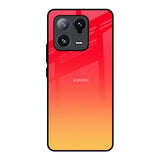 Sunbathed Mi 13 Pro Glass Back Cover Online