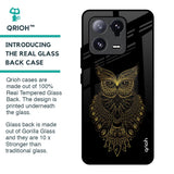 Golden Owl Glass Case for Mi 13 Pro