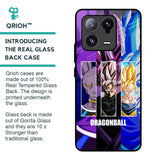 DGBZ Glass Case for Mi 13 Pro