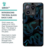 Serpentine Glass Case for Mi 13 Pro