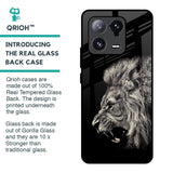 Brave Lion Glass Case for Mi 13 Pro