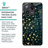 Dazzling Stars Glass Case For Mi 13 Pro