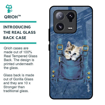 Kitty In Pocket Glass Case For Mi 13 Pro