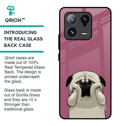 Funny Pug Face Glass Case For Mi 13 Pro