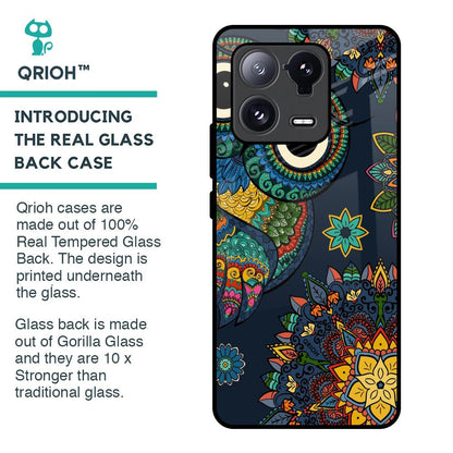 Owl Art Glass Case for Mi 13 Pro