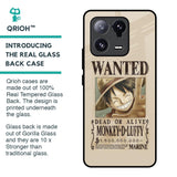 Luffy Wanted Glass Case for Mi 13 Pro