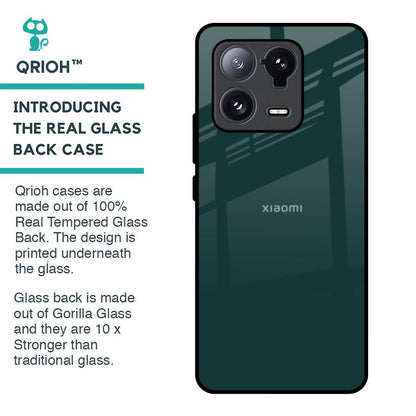 Olive Glass Case for Mi 13 Pro