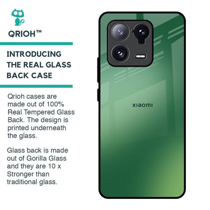 Green Grunge Texture Glass Case for Mi 13 Pro