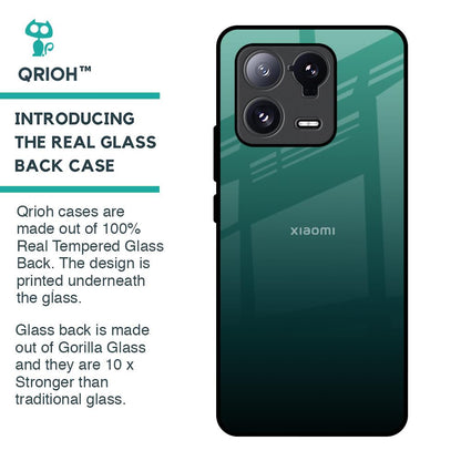 Palm Green Glass Case For Mi 13 Pro