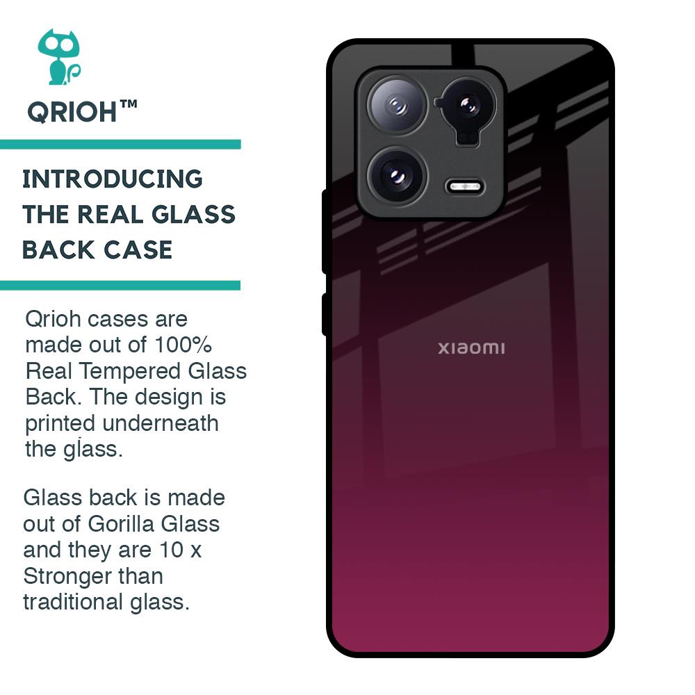 Wisconsin Wine Glass Case For Mi 13 Pro