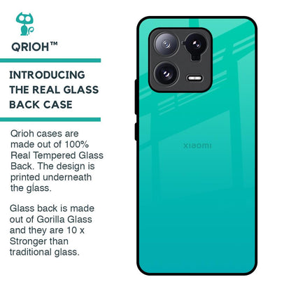 Cuba Blue Glass Case For Mi 13 Pro