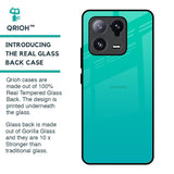 Cuba Blue Glass Case For Mi 13 Pro