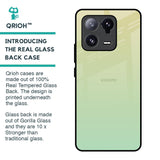 Mint Green Gradient Glass Case for Mi 13 Pro
