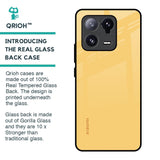 Dandelion Glass Case for Mi 13 Pro