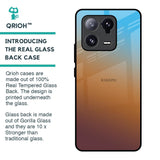 Rich Brown Glass Case for Mi 13 Pro
