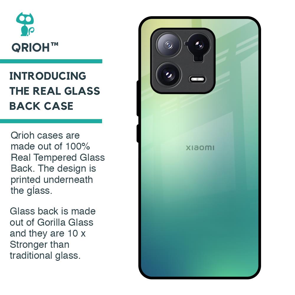 Dusty Green Glass Case for Mi 13 Pro