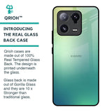 Dusty Green Glass Case for Mi 13 Pro