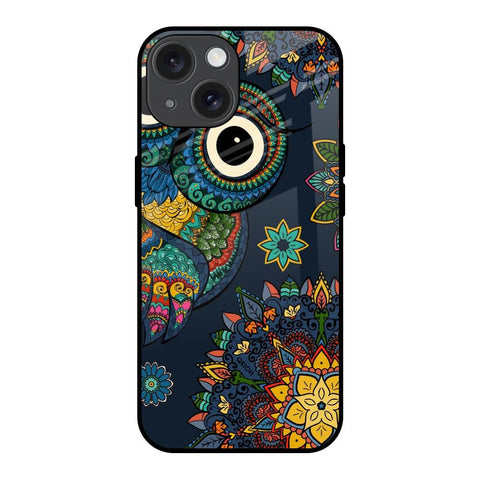 Owl Art iPhone 15 Glass Back Cover Online